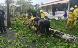 Maurice: "mini tornade" à Sebastopol